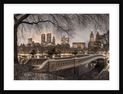 Central park, New York by Assaf Frank